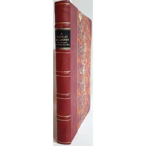 Lot 36        