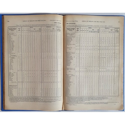 4 - Census Of Ireland 1881 For The County and City Of Cork