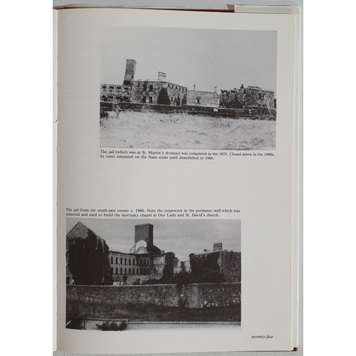 18 - Nas na Riogh From Poorhouse Road to the Fairy Flux an Illustrated History of Naas - Published by Naa... 