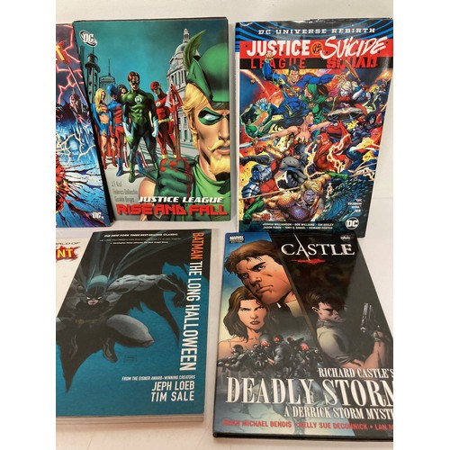 255 - Collection of hard backed and soft backed Graphic Novels, batman and others, part of a large collect... 