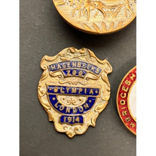 119 - Enamel lapel badges, Cambridge Young Farmers, Hagenbecks Zoo London 1914, Civil Defence , Fencing et... 