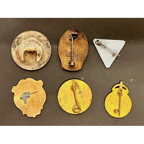 119 - Enamel lapel badges, Cambridge Young Farmers, Hagenbecks Zoo London 1914, Civil Defence , Fencing et... 