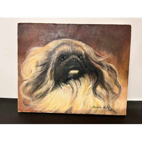 18 - Oil painting, study of a Pekingese dog 41 cm wide.

This lot is available for in-house shipping