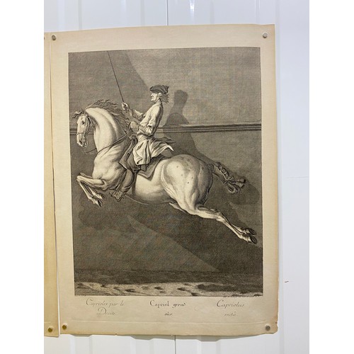 381 - German C17th equestrian themed Art, two Copperplate Engravings / Etchings.  Depicting Dressage Rider... 