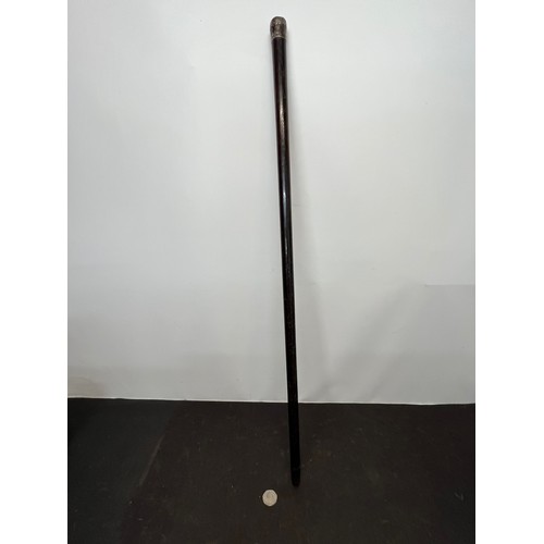 31 - Hardwood silver topped walking cane, 87 cm long

This lot is available for in-house shipping
