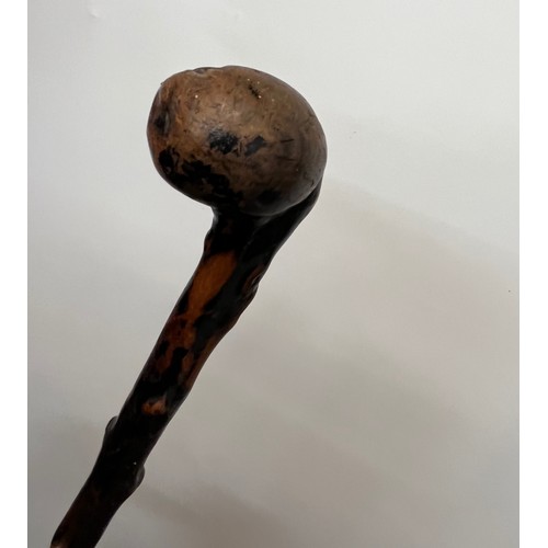 30 - Hardwood walking cane, 92 cm long

This lot is available for in-house shipping