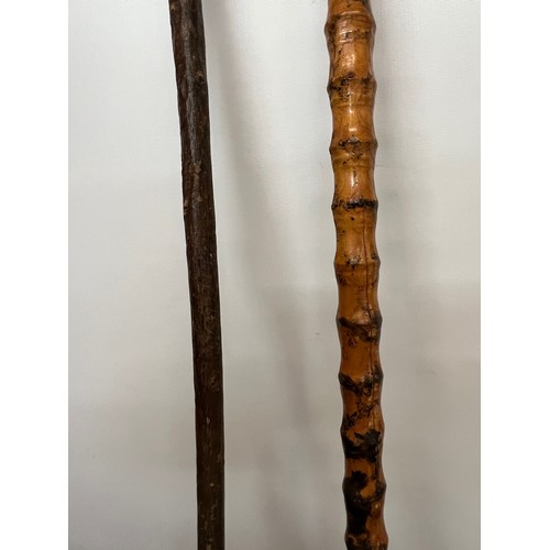 30 - Hardwood walking cane, 92 cm long

This lot is available for in-house shipping