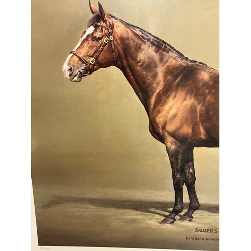 217 - Framed signed limited edition print of the painting of the race horse Sadler’s Wells by equestrian a... 