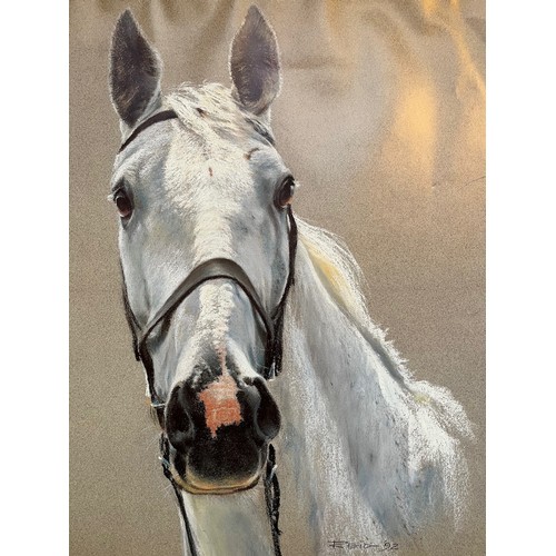 227 - Unframed signed limited edition print of painting of the race horse Desert Orchid by William Reid. 5... 