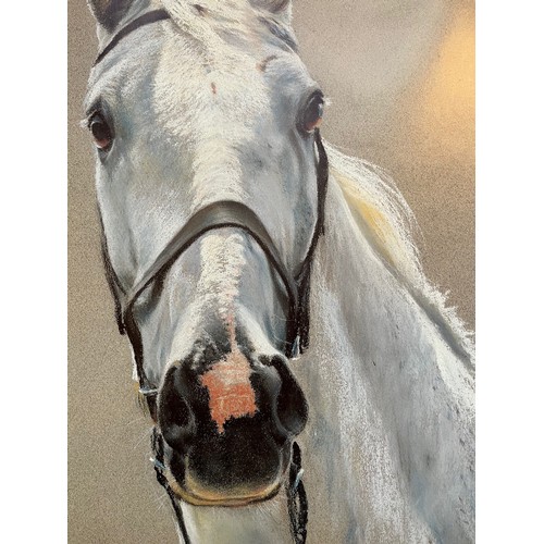 227 - Unframed signed limited edition print of painting of the race horse Desert Orchid by William Reid. 5... 