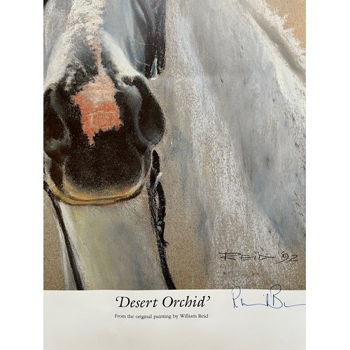 227 - Unframed signed limited edition print of painting of the race horse Desert Orchid by William Reid. 5... 