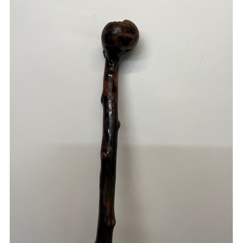 78 - Hardwood walking cane, 92 cm long

This lot is available for in-house shipping