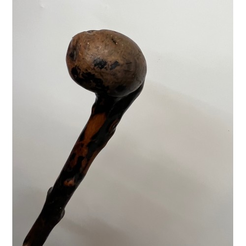 78 - Hardwood walking cane, 92 cm long

This lot is available for in-house shipping