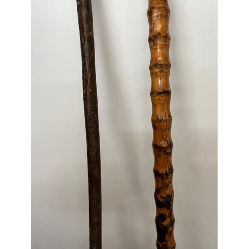 78 - Hardwood walking cane, 92 cm long

This lot is available for in-house shipping