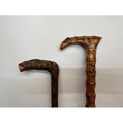 78 - Hardwood walking cane, 92 cm long

This lot is available for in-house shipping