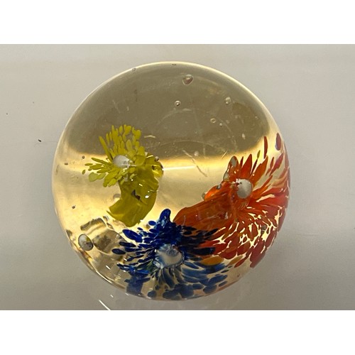 303 - Five decorative glass paper weights.

This lot is available for in-house shipping