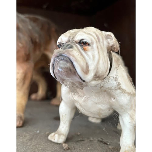 57 - Two Royal Doulton bone china English Bull Dogs HN 1074 and HN 1042.

This lot is available for in-ho... 