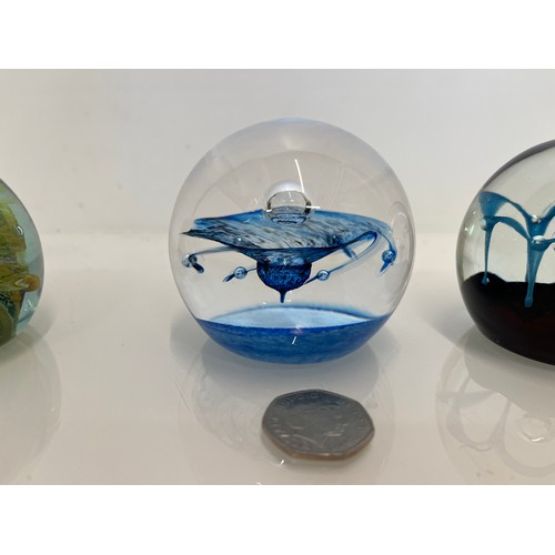 497 - A collection of 8 glass paper weights, Modena, Caithness and Selkirk Glass.

This lot is available f... 