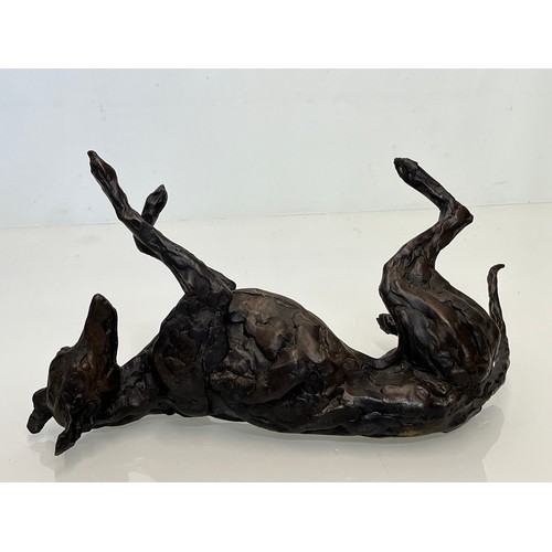 20 - Contemporary bronze sculptue of a dog, a rolling Greyhound / Lurcher, a very heavy substantial study... 