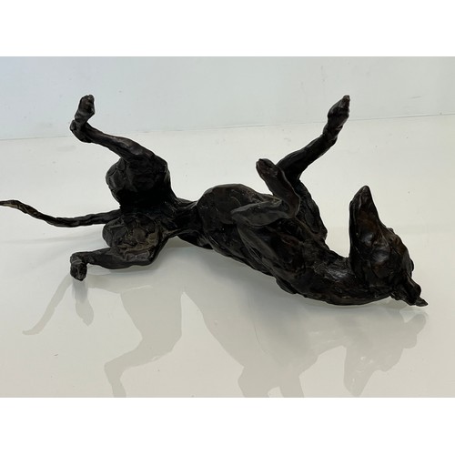 20 - Contemporary bronze sculptue of a dog, a rolling Greyhound / Lurcher, a very heavy substantial study... 