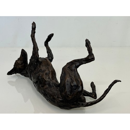 20 - Contemporary bronze sculptue of a dog, a rolling Greyhound / Lurcher, a very heavy substantial study... 