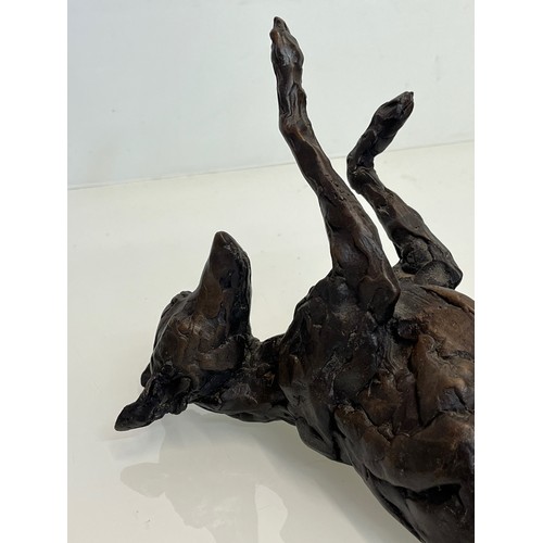 20 - Contemporary bronze sculptue of a dog, a rolling Greyhound / Lurcher, a very heavy substantial study... 