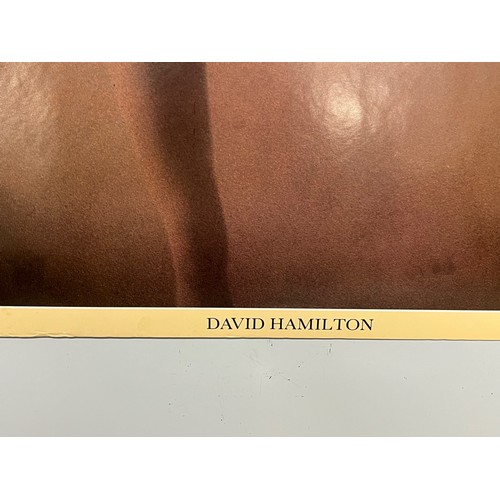 78 - Mid Century furnishing, classic 1977 Ballet Dancer David Hamilton poster. 92 cm x 62 cm.

This lot i... 