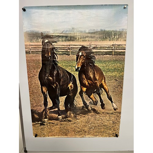 80 - Mid Century furnishing, classic 1970’s Danish poster of Horses. 61 cm x 86 cm.

This lot is availabl... 