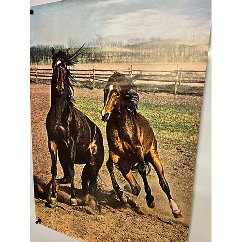 80 - Mid Century furnishing, classic 1970’s Danish poster of Horses. 61 cm x 86 cm.

This lot is availabl... 