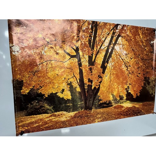 81 - Mid Century furnishing, classic 1970’s Autumnal Woodland poster art. 92 cm x 62 cm.

This lot is ava... 