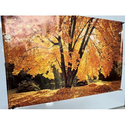 Mid Century furnishing, classic 1970's Autumnal Woodland poster