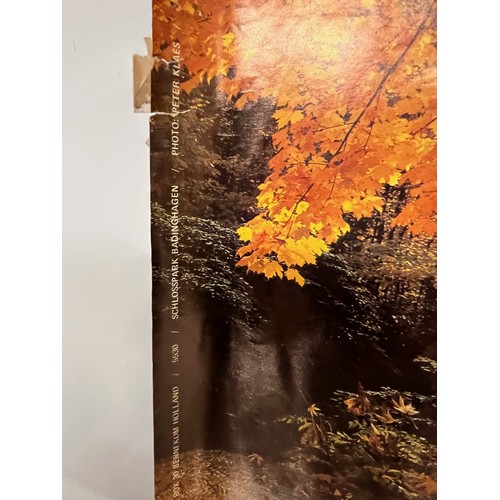 81 - Mid Century furnishing, classic 1970’s Autumnal Woodland poster art. 92 cm x 62 cm.

This lot is ava... 