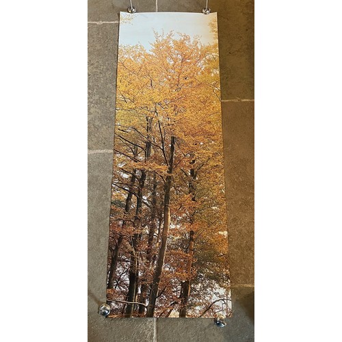 84 - Mid Century furnishing, classic Autumnal Woodland scene door poster. 159 cm x 54 cm.

This lot is av... 