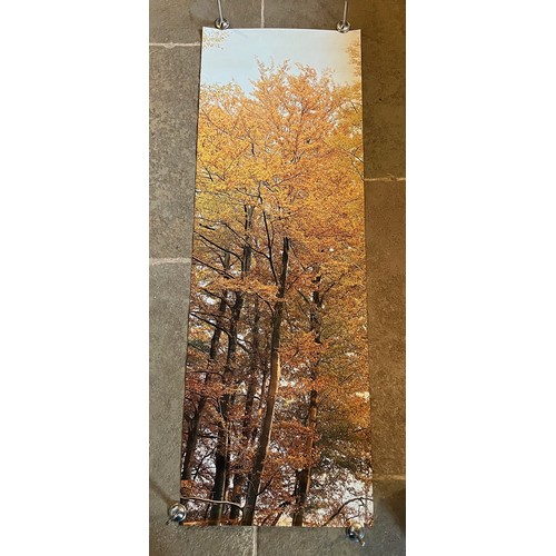 84 - Mid Century furnishing, classic Autumnal Woodland scene door poster. 159 cm x 54 cm.

This lot is av... 