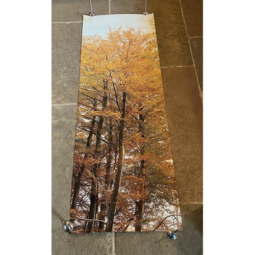 84 - Mid Century furnishing, classic Autumnal Woodland scene door poster. 159 cm x 54 cm.

This lot is av... 