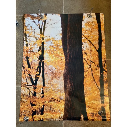 86 - Mid Century furnishing, classic Autumnal Woodland scene door poster. In two sections 109 cm x 85 cm,... 