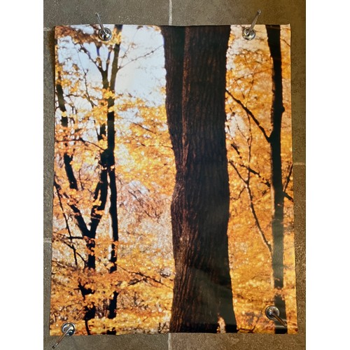 86 - Mid Century furnishing, classic Autumnal Woodland scene door poster. In two sections 109 cm x 85 cm,... 