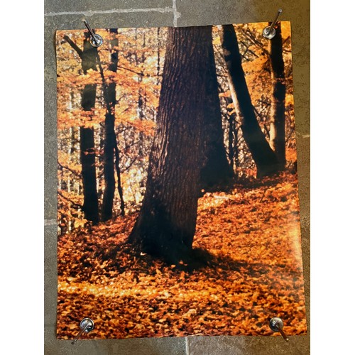 86 - Mid Century furnishing, classic Autumnal Woodland scene door poster. In two sections 109 cm x 85 cm,... 