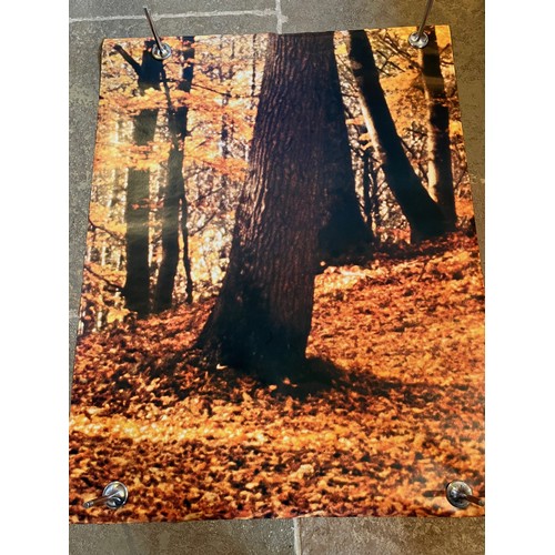 86 - Mid Century furnishing, classic Autumnal Woodland scene door poster. In two sections 109 cm x 85 cm,... 