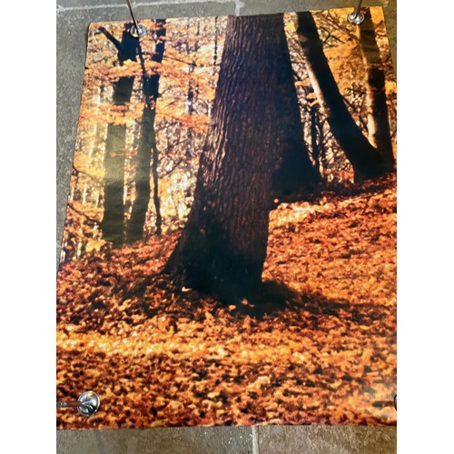 86 - Mid Century furnishing, classic Autumnal Woodland scene door poster. In two sections 109 cm x 85 cm,... 