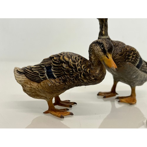 139 - Two cold painted brass figures of Ducks.

This lot is available for in-house shipping