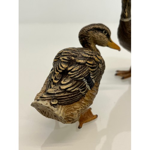 139 - Two cold painted brass figures of Ducks.

This lot is available for in-house shipping