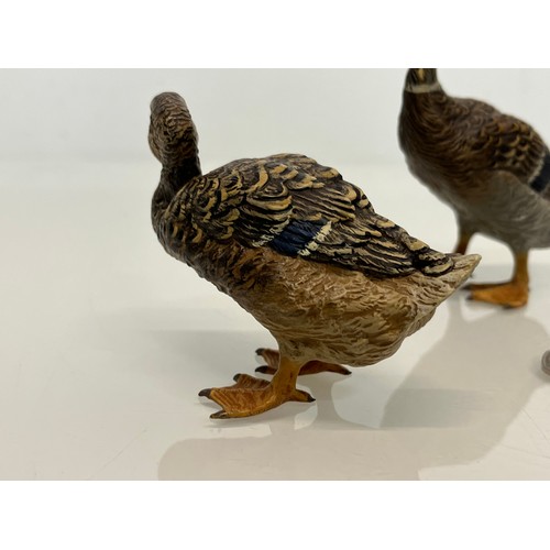 139 - Two cold painted brass figures of Ducks.

This lot is available for in-house shipping