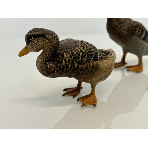 139 - Two cold painted brass figures of Ducks.

This lot is available for in-house shipping