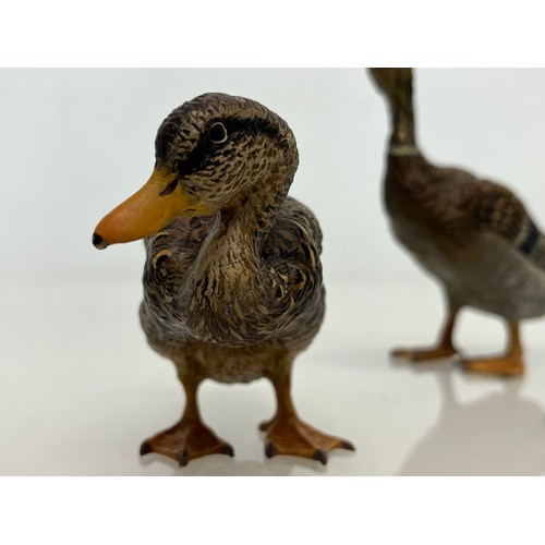 139 - Two cold painted brass figures of Ducks.

This lot is available for in-house shipping