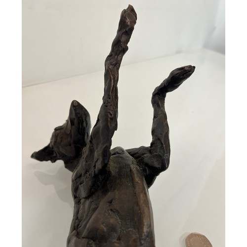 20 - Contemporary bronze sculptue of a dog, a rolling Greyhound / Lurcher, a very heavy substantial study... 