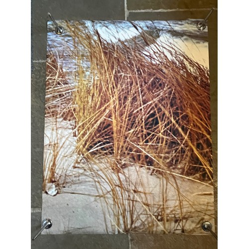 360 - Mid Century furnishing, classic Beach scene door poster. In two sections of 109 x 85 cm and in origi... 