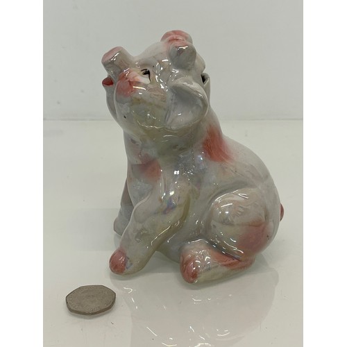 222 - A lustre glazed money box in the form of a seated pig.


This lot is available for in-house shipping