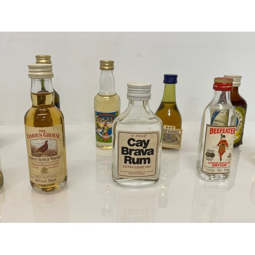 240 - Collection of miniature spirit bottles, Malt and Blended Whisky, Rum, Brandy Gin etc.

This lot is a... 