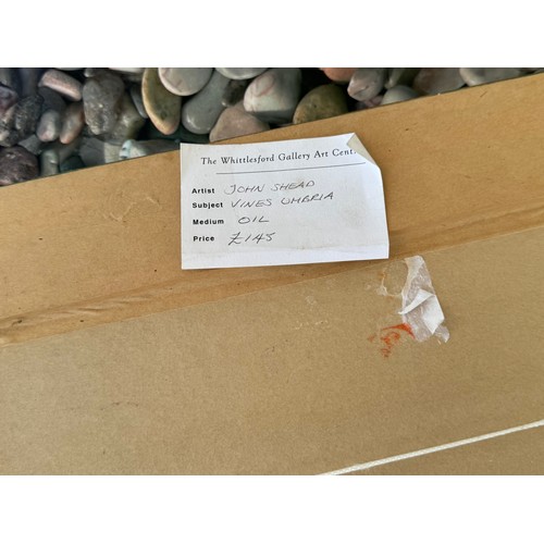 63 - A collection of paintings from the studio of Cambridge artist John Shead 1943-2023, for the past 30 ... 